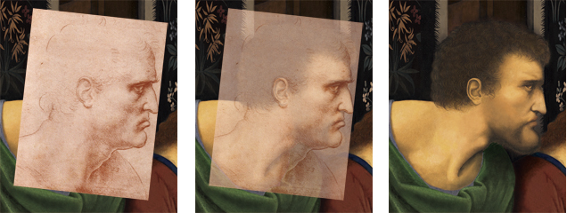 Translucent image over the reconstruction